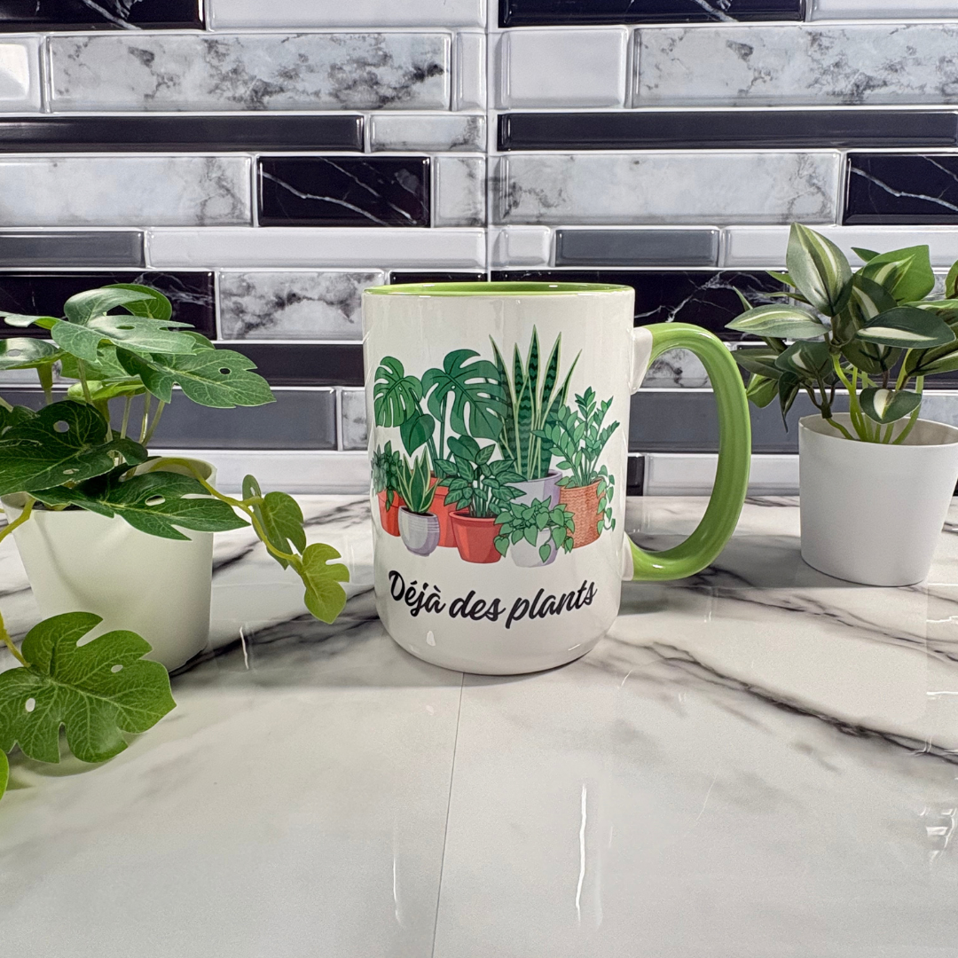 Boîte cadeau pour amoureux des plantes | Plant Lover Gift Box