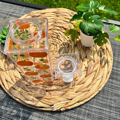 Bouteille style carton lait avec design citrouille d'halloween, Gobelet d'halloween